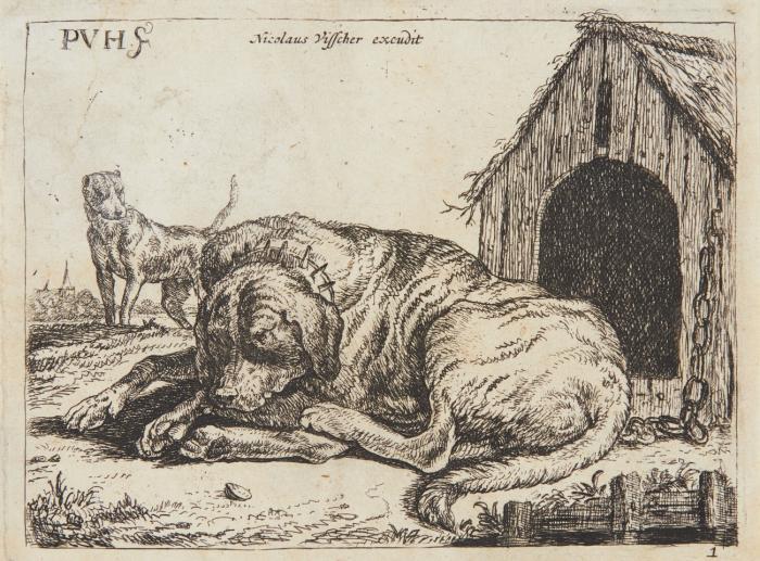 Ein Hund an der Kette.