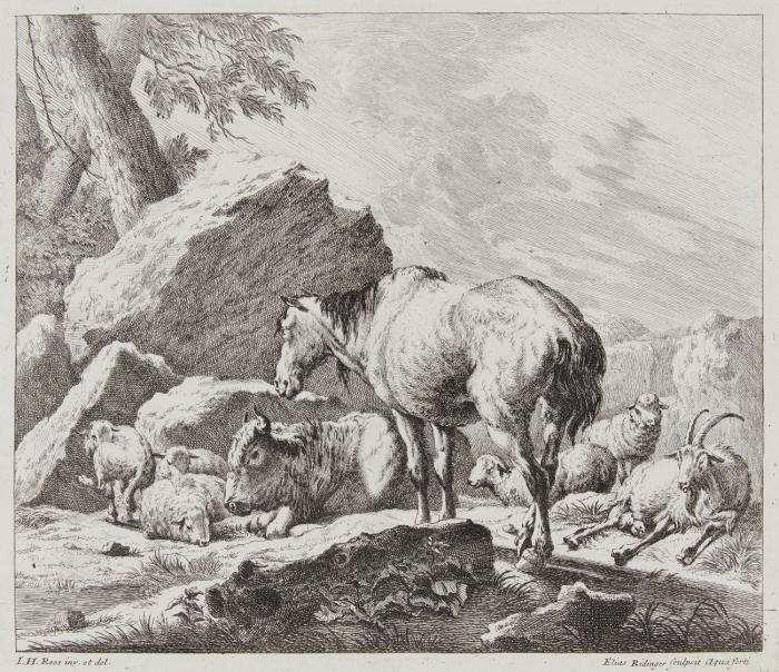 2 Viehstücke nach Roos (Ziegenbock mit Ziege und Schafen / Abgelebtes Pferd mit Ochse und Schafen).