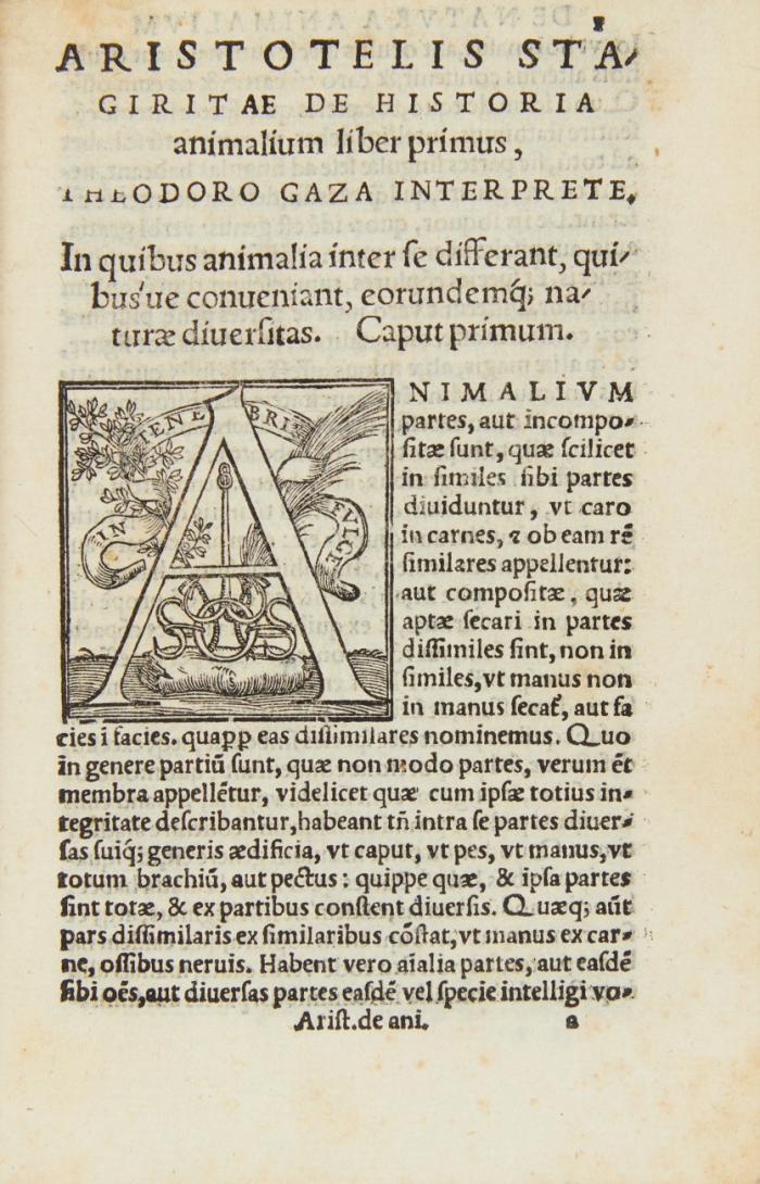 De historia animalium lib. IX. De partibus animalium, et earum causis libri IIII. De generatione animalium libri V, Theodoro Gaza Thessalonice(n)si interprete.