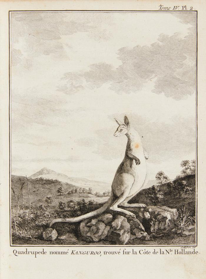 Relation des Voyages entrepris par Ordre de sa Majesté Britannique, actuellement regnante; pour faire des Découvertes dans l'Hémisphère Méridional... traduite de l'Anglois. 4 Bde.