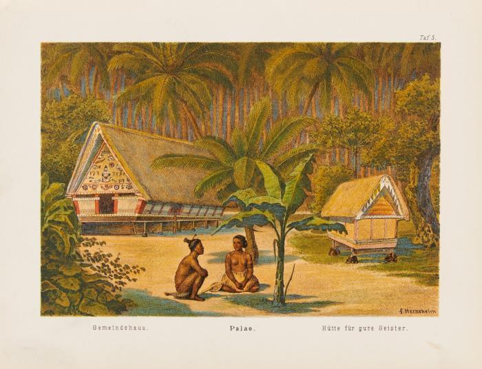 Südsee-Erinnerungen (1875-1880).