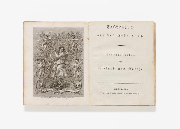 Taschenbuch auf das Jahr 1804.