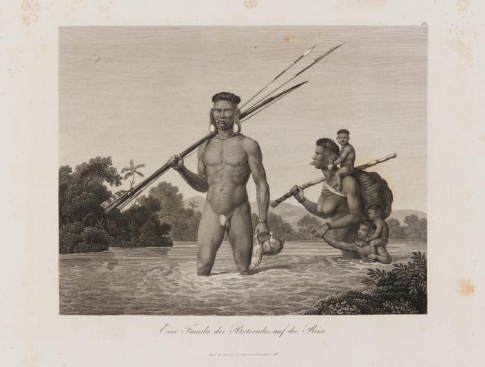 Reise nach Brasilien in den Jahren 1815 bis 1817. 3 Bde (davon 1 Tafelmappe).
