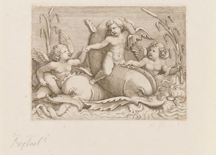 Drei Putti mit Delphinen.