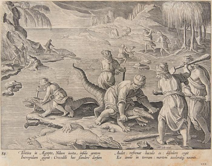 Aus: Jagd- und Tierszenen.