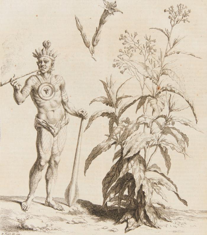 Dictionnaire oeconomique,  contenant divers moyens d'augmenter son bien, et de consserver sa santé. Troisième édition, rev., corr. & augmentée. 2 Bde. und 2 Suppl.-Bde. in 2 Bden.