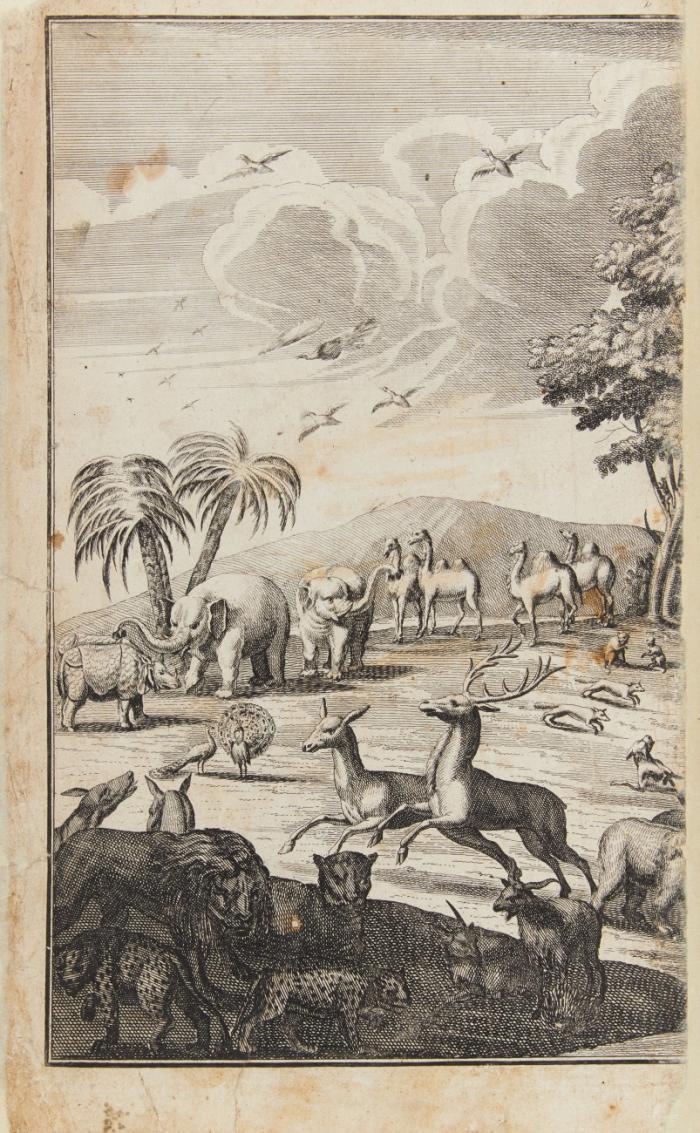 Der vollkommene Teutsche Jäger, darinnen die Erde, Gebürge, Kräuter und Bäume, Wälder, Eigenschaft der wilden Thiere und Vögel, so wohl Historice, als Physice, und Anatomice. 2 Teile in 1 Bd.