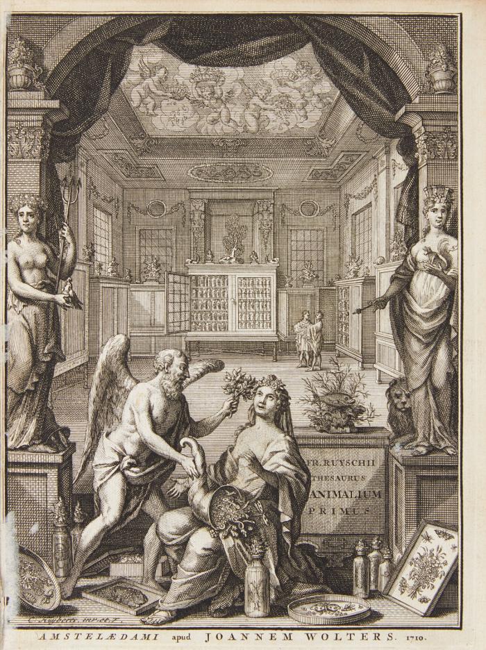 Thesaurus anatomicus primus (-decimus). / Het eerste anatomisch cabinet. 10 Tle. in 2 Bdn. + ein vorgebundenes Werk.