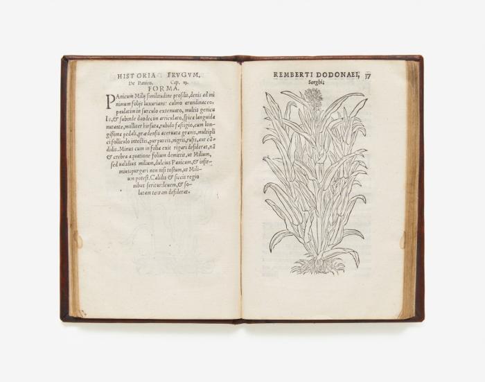 De frugum historia, liber vnus.