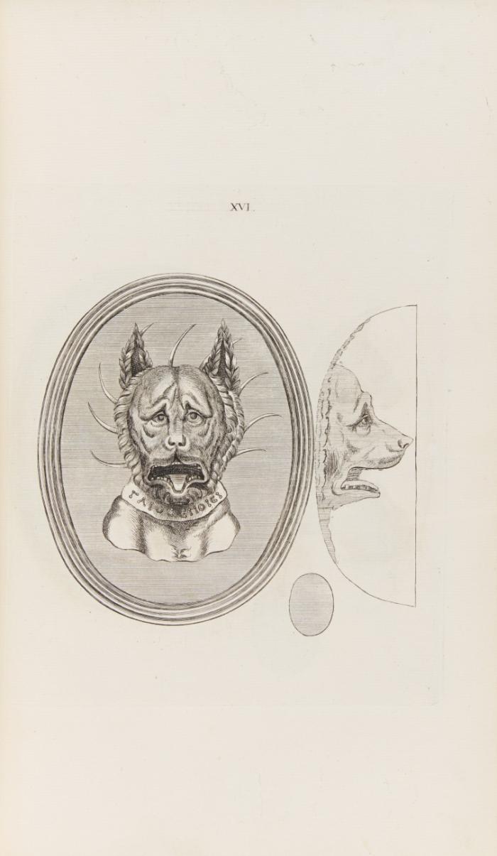 Traité de la méthode antique de graver en pierres fines, comparée avec la méthode moderne, et expliquée en diverses planches. + Beilage.