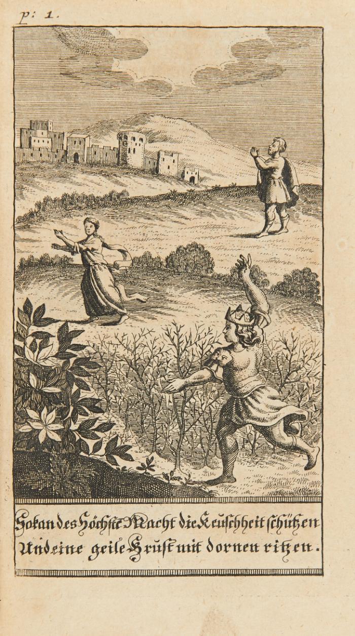 Helden-Liebe der Schrifft Alten und Neuen Testaments zweyter Theil ebenfalls in 16. anmuthigen Liebes-begebenheiten mit beygefügten curieusen Anmerckungen/ poetischen Wechsel-Schrifften ... nach der Art Hrn. Heinr. Anshelm von Ziegler und Kliphausen.