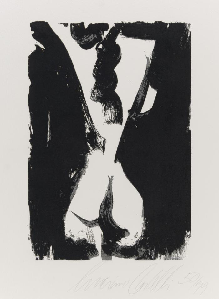 FORMA BIANCO NERO