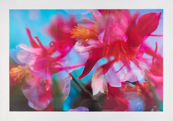 Fischli & Weiss. Ohne Titel. C-Print. Ex. 54/250. Texte zur Kunst.