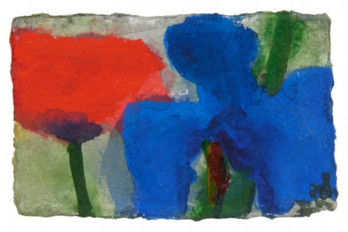 MOHN UND IRIS