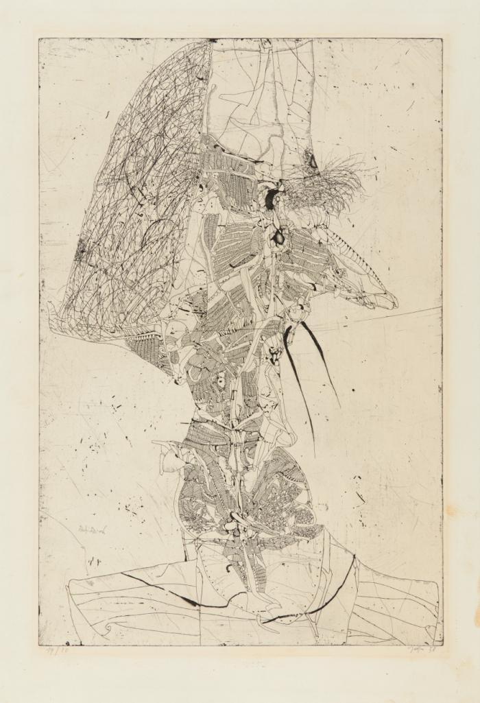 DON QUICHOTE