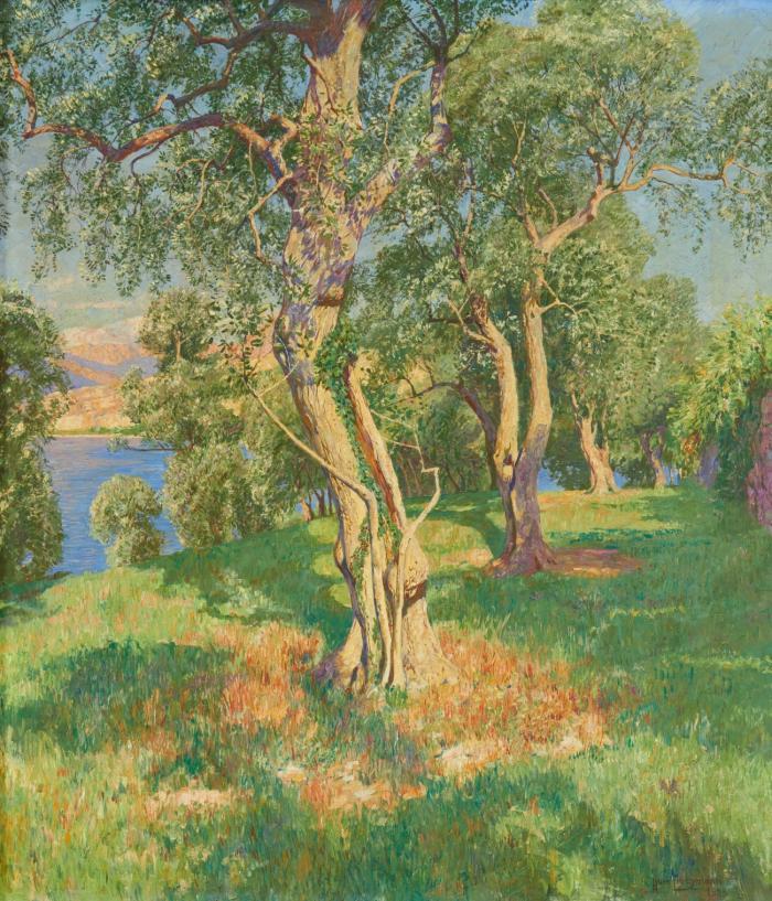 BÄUME AM SEEUFER