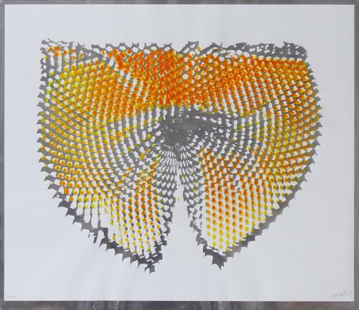 LICHTWIRBEL - DOPPELBLATTMONTAGE -