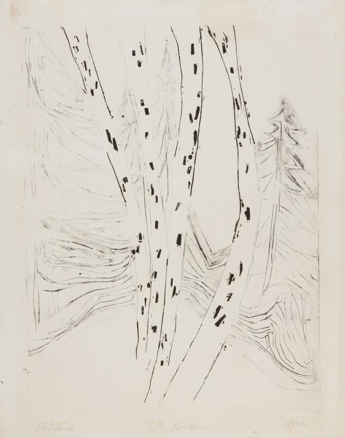 BIRKEN (AUS: SCHNEE) 1933/34