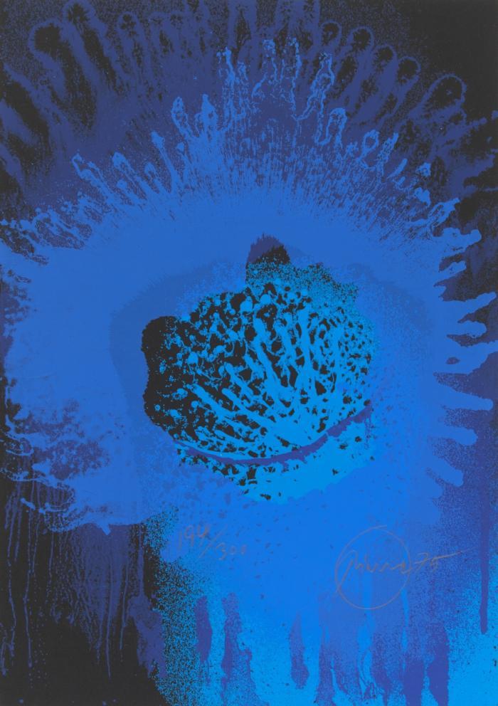 BLUE SUN