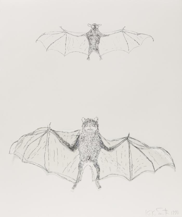 BEE / SQUIRREL / MOTH / BIRD / FLY / BAT