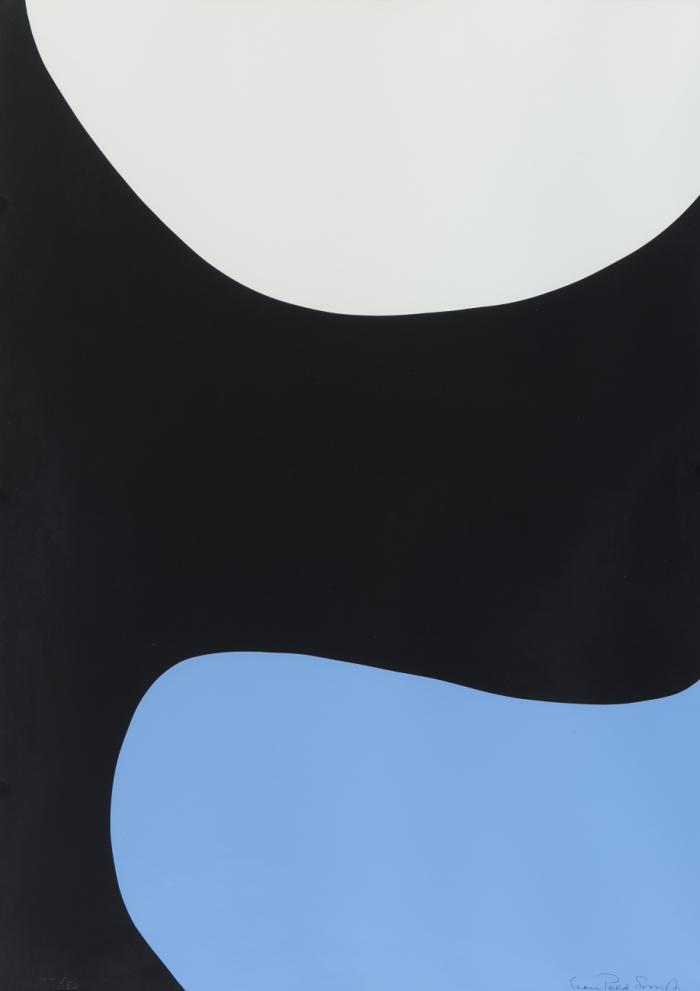 COLOR FORMS D