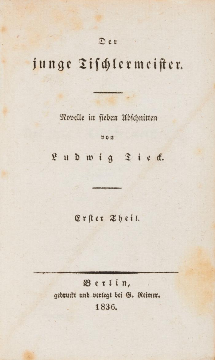 Der junge Tischlermeister. Novelle in sieben Abschnitten. 2 Bde.