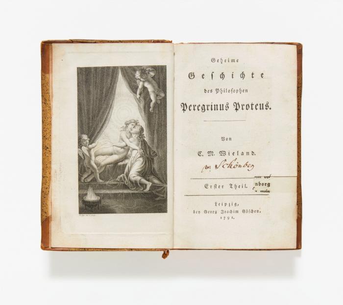 Geheime Geschichte des Philosophen Peregrinus Proteus. 2 Bde.