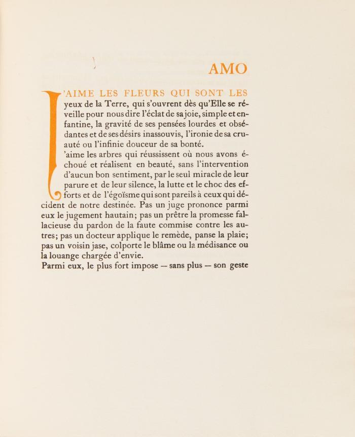 Amo.