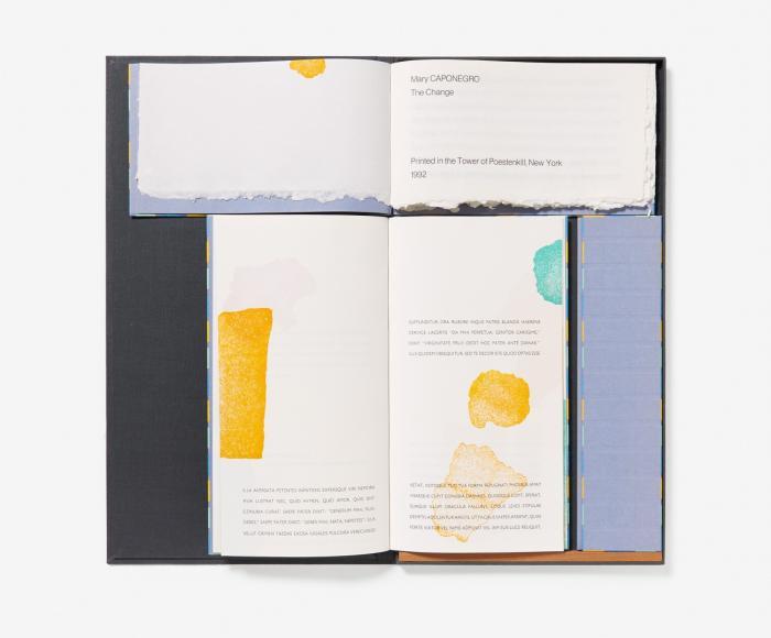 Metamorphosibus historia Apollinis et Daphnes  (with an English version by Mary Caponegro).  / The change. 3 Bde.