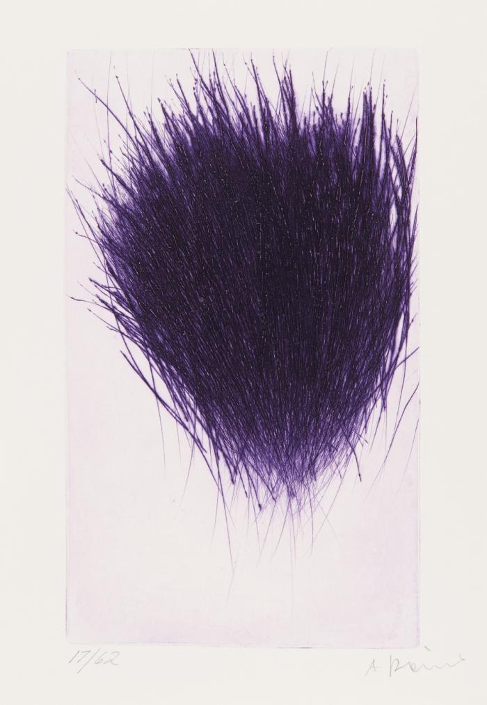 Arnulf Rainer. Übermalte Bücher.