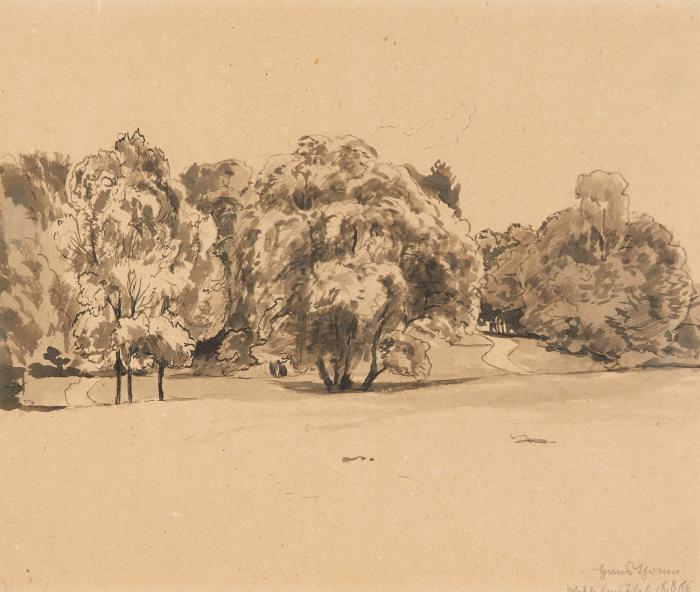 Landschaft mit Bäumen.