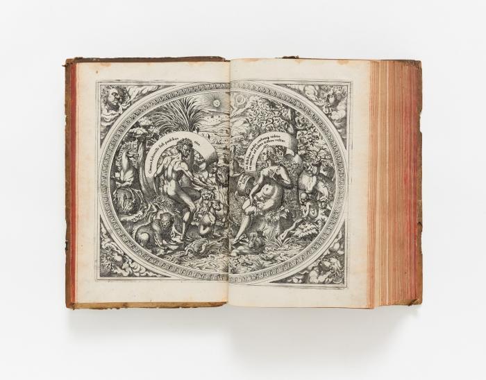 Catalogus gloriae mundi, ... jn qvo ... de dignitatibus, honoribus, praerogatiuis, et excellentia, spirituum, hominum, animantium, rerumq(ue) caeterarum omnium, quae coelo, mari, terra, infernoq(ue) ipso continentur, ita disseritur ...