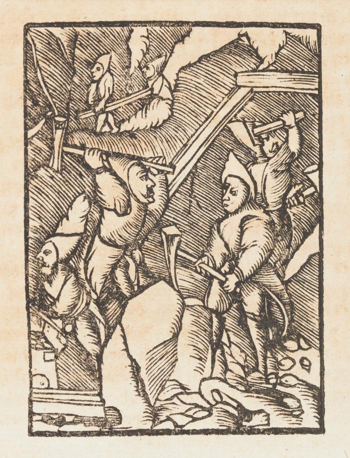 Geordente/ vnd gebesserte/ Zinbergkwercks Ordnung/ der Bergkstett Schlackenwalden/ Schönfelden/ Lautterpach/ sampt derselben zugehörenden gepirgen.