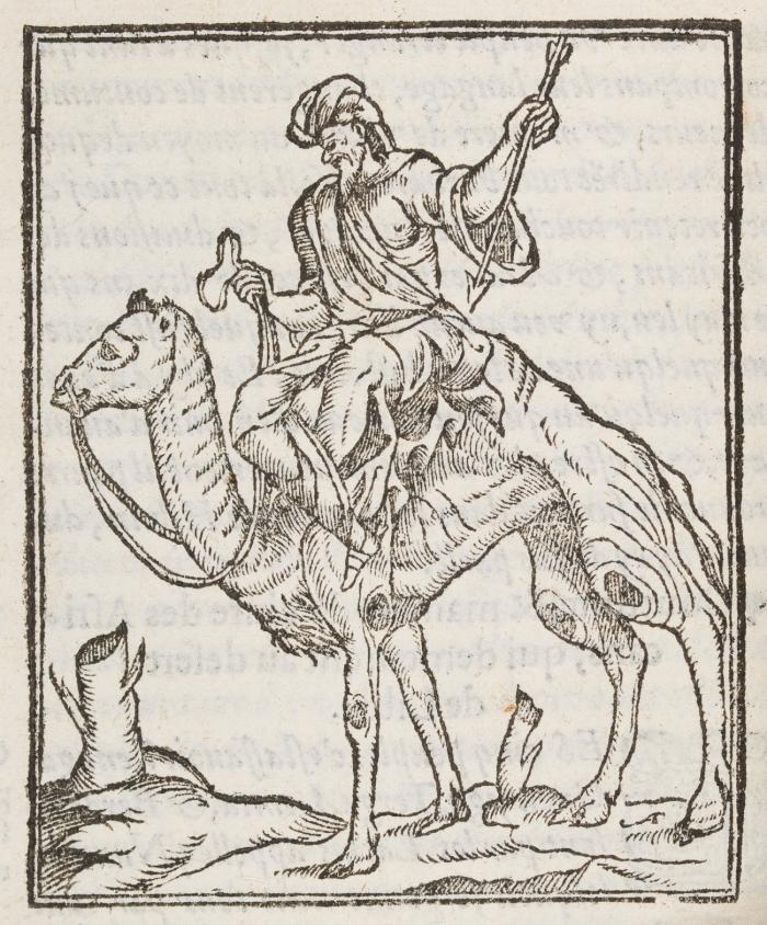 Historiale description de l'Afrique, tierce partie du monde, contenant ses royaumes, regions, viles, citez, chateaus & forteresses: îles, fleuues, animaus, tant aqutiques, que terrestres: coutumes, loix, religion & façon de faire des habitãs, avec pourtraits de leurs habis ... premierement en langue Arabesque, puis en Toscane, & à present mise en François (par J. Temporal).