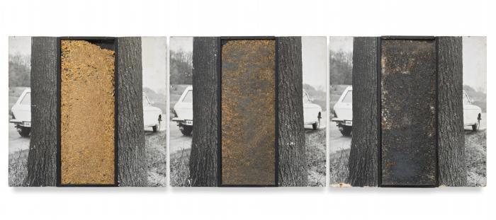 BAUMSERIE IN 3 PHASEN