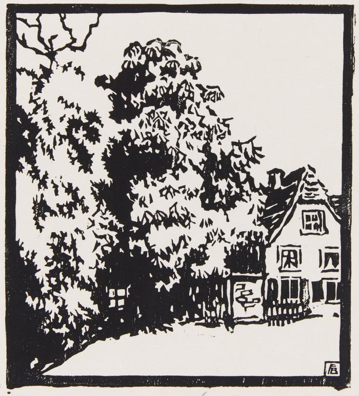 KASTANIENBAUM