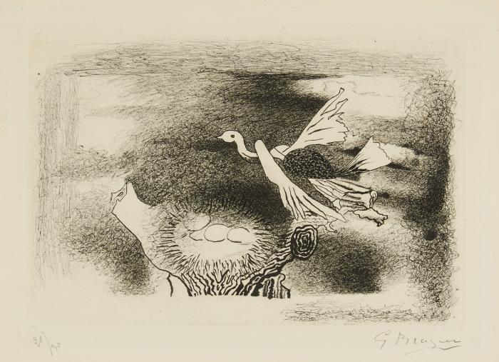 LE NID (OISEAU IX)