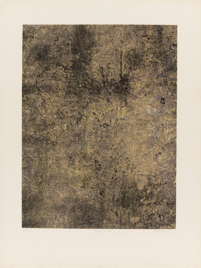 IMPERMANENCE (AUS: SPECTACLES)