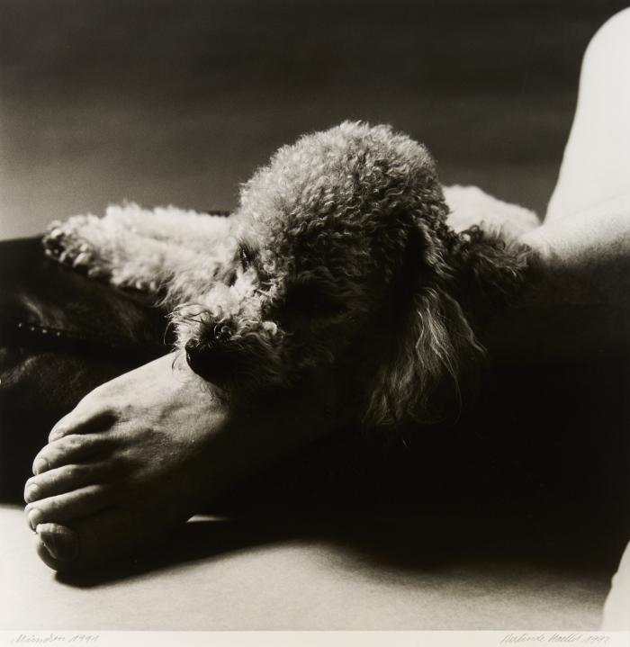 OHNE TITEL (PUDEL UND FUSS)