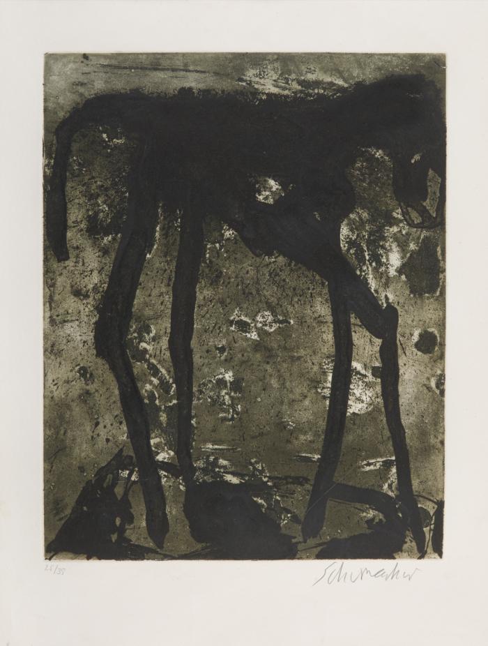 16/1990