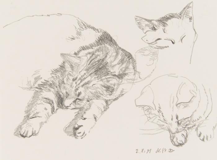 KATZEN