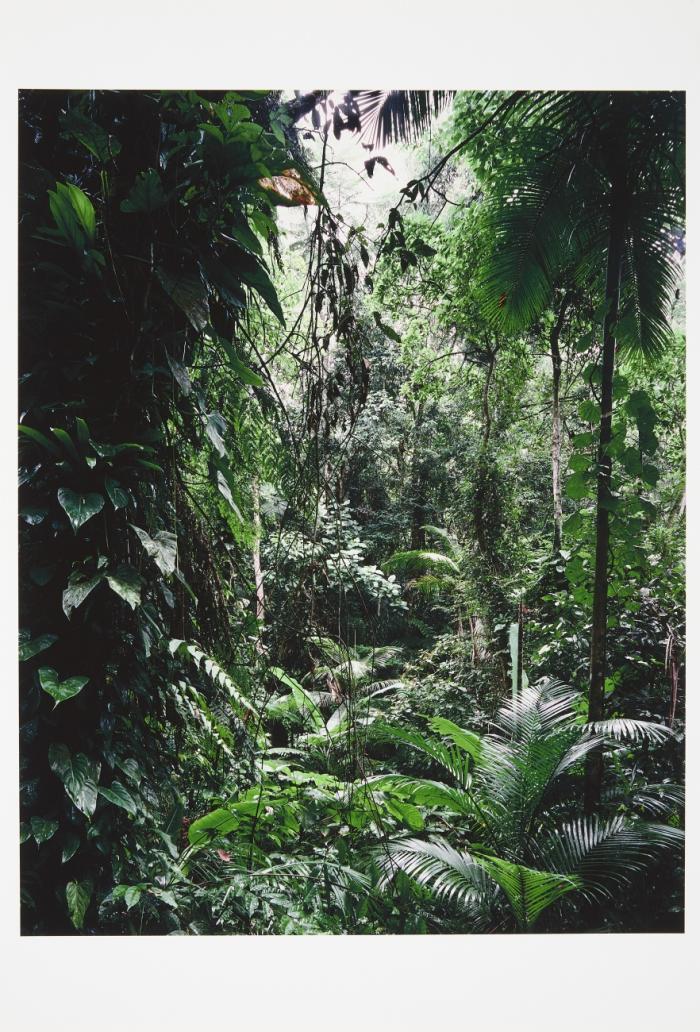 PARADIES