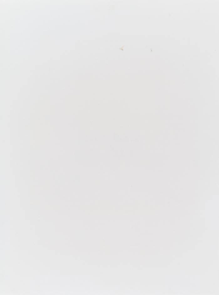 OHNE TITEL (PARKETT EDITION Nr. 13)