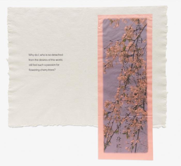 Sakura. Five Poems.