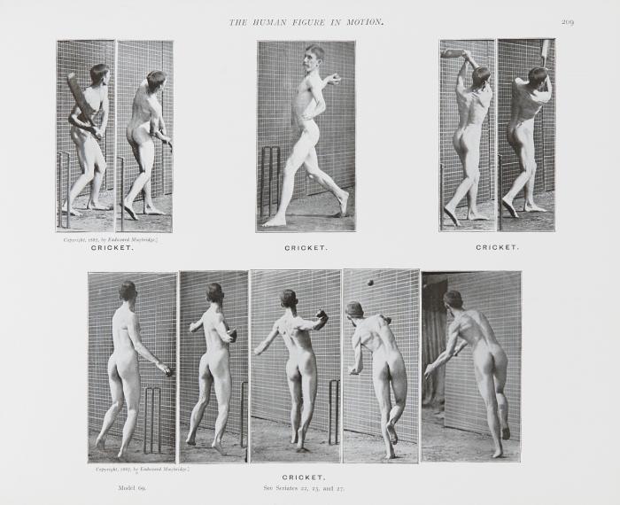 The human figure in motion. An electro-photographic investigation of consecutive phases of muscular actions. Commenced 1872. Completed 1885. Sixth edition.