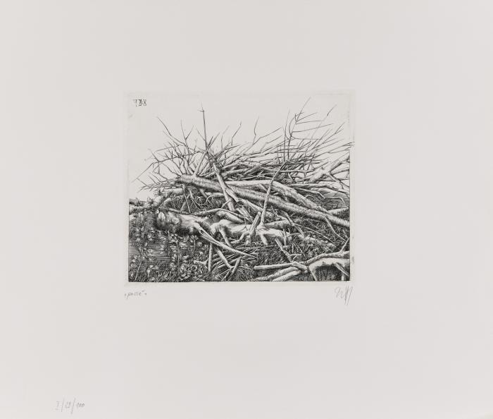 Paysages - Mit dem Stichel durch die Landschaft.