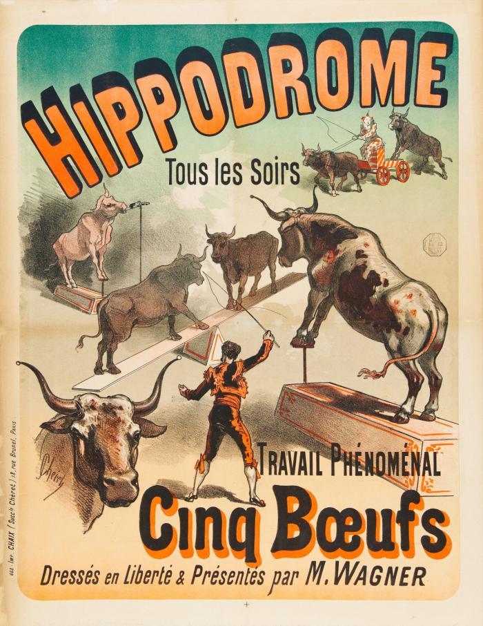 HIPPODROME – TOUS LES SOIRS –  TRAVILA PHÉNOMÉNAL CINQ BOEUFS