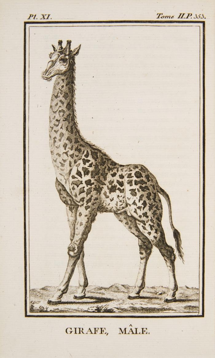 Voyage dans l'interieur de l'Afrique, par le Cap de Bonne-Espérance, dans les années 1780, 81, 82, 83, 84 & 85. 2 Bde.