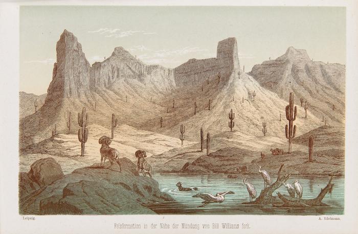 Reisen in die Felsengebirge Nord-Amerikas bis zum Hoch-Plateau von Neu-Mexiko, unternommen als Mitglied der im Auftrage der Regierung der Vereinigten Staaten ausgesandten Colorado-Expedition. 2 Bde.