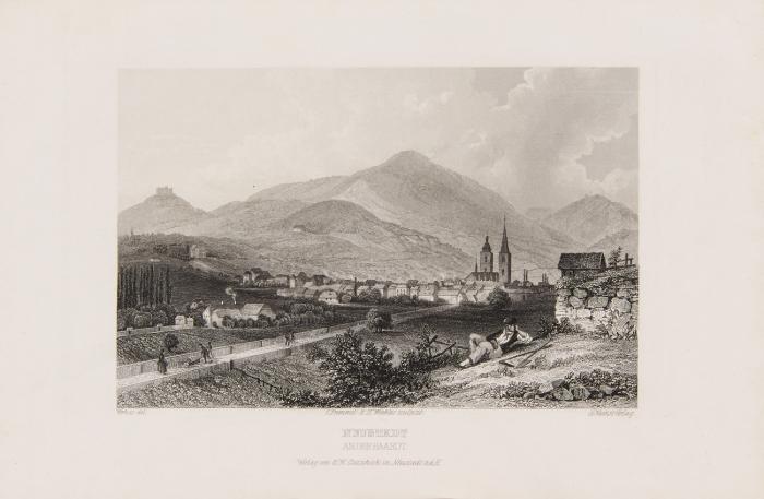 Die malerische und romantische Pfalz.
